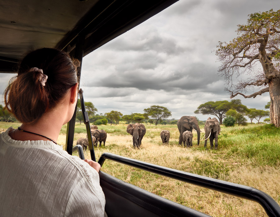 voyage en Tanzanie
