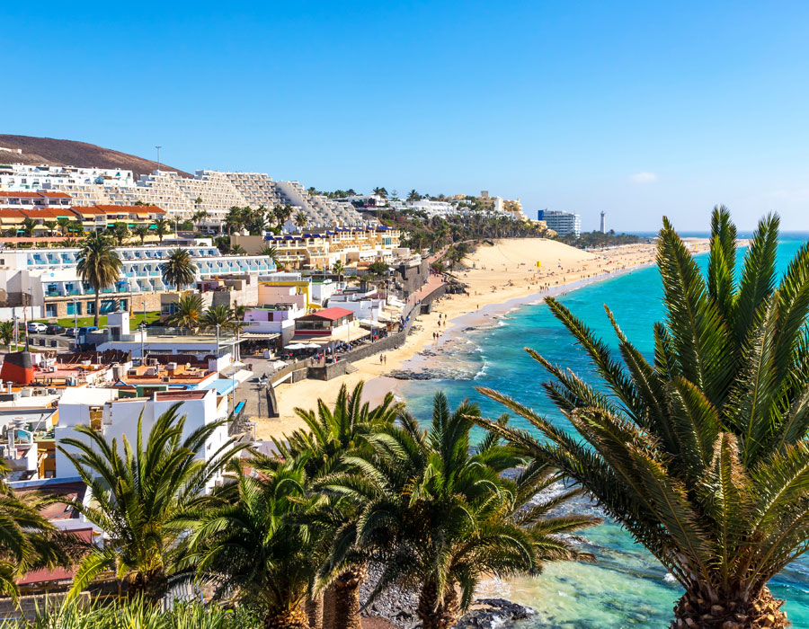 Canaries